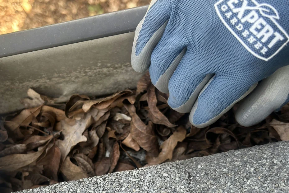 Gutter Cleaning Cape Charles