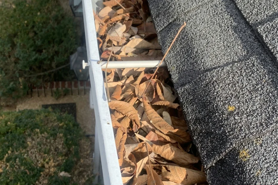 Gutter Cleaning Cape Charles