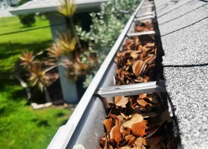 Gutter Cleaning Cape Charles home page